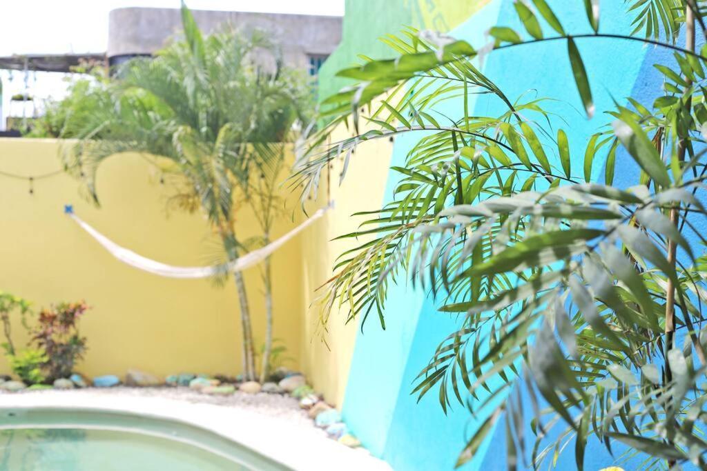Appartement 2bdr -rocks At Mikasa- Near Beach, Pool, King Beds, Ac, Fast Wifi